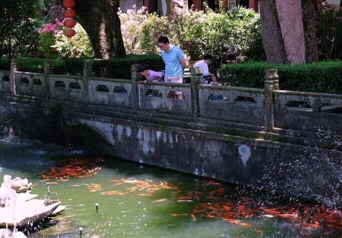 A group of people looking at koi fish in China